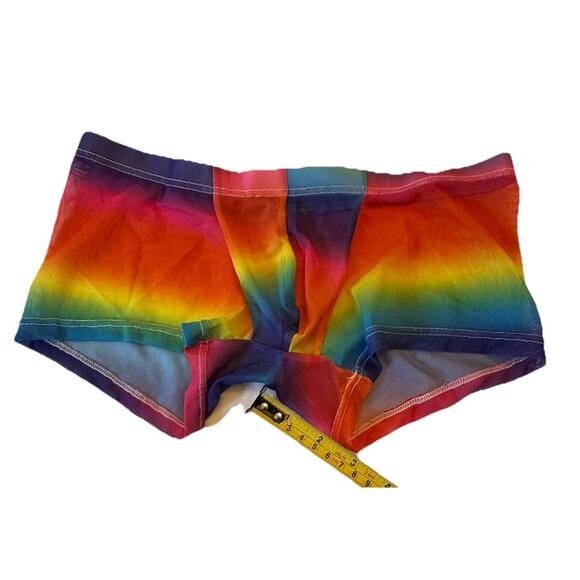 Men’s PRIDE Colors Polyester Mesh Small Boxer Briefs See Through Low Rise NWOT - Picture 11 of 13